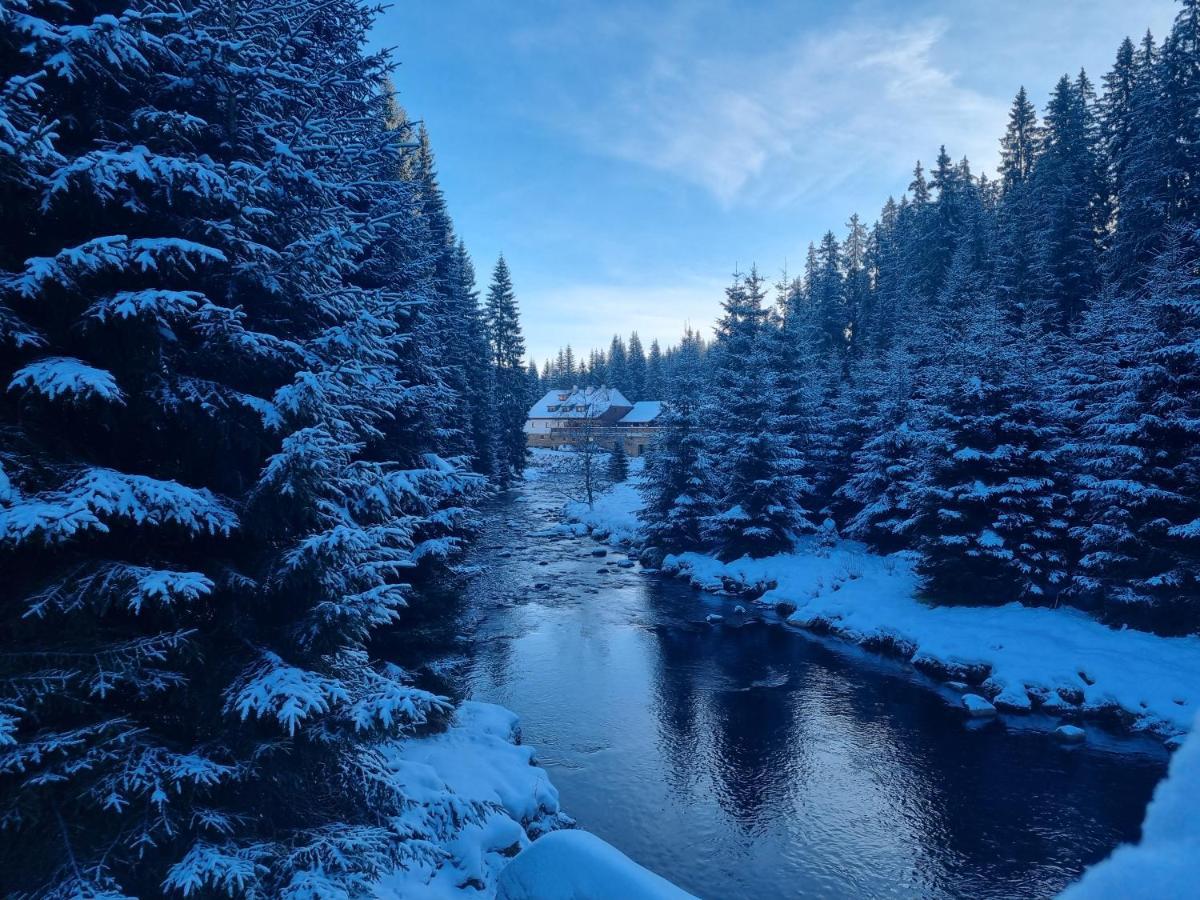 Pivovar Lyer Modrava Exteriör bild
