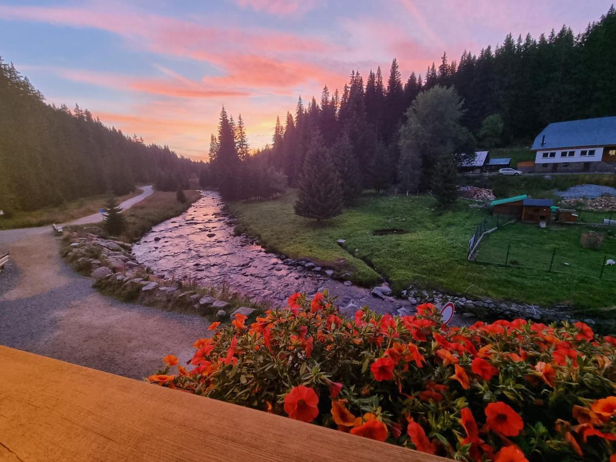 Pivovar Lyer Modrava Exteriör bild
